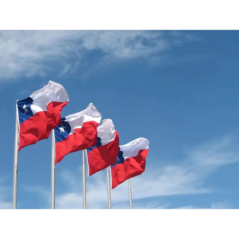 Bandera Chilena 90 X 135 Cm Con Enganches Para Mastil Chile