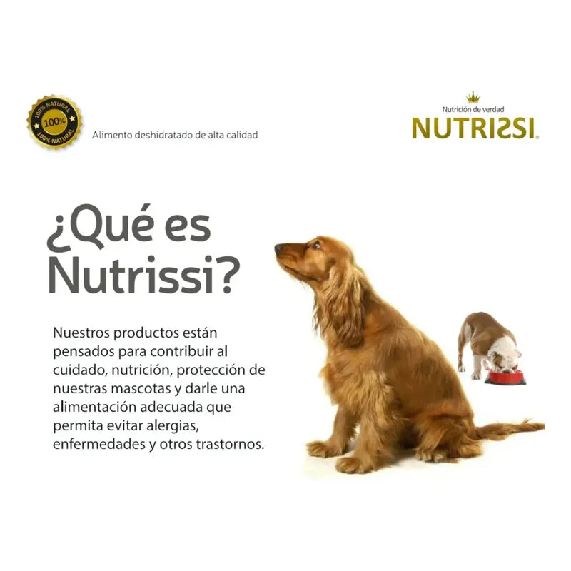 Alimento Seco Nutrissi Premium De Carne Para Perro Adulto Grande 3 Kg