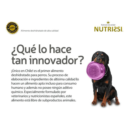 Alimento Seco Nutrissi Premium De Carne Para Perro Adulto Grande 3 Kg