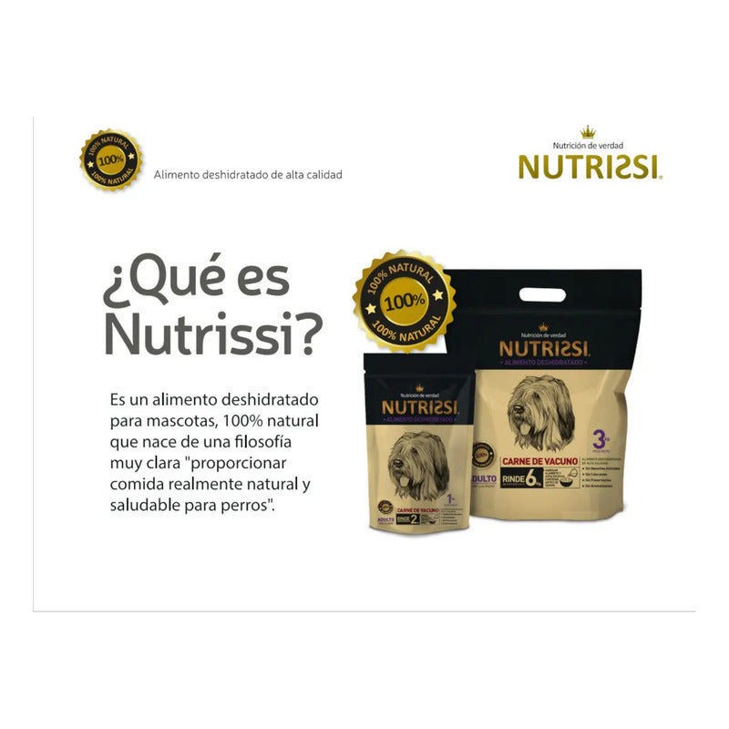 Alimento Seco Nutrissi Premium De Carne Para Perro Adulto Grande 3 Kg