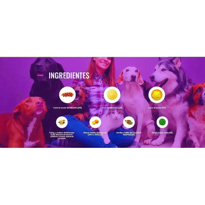 Alimento Seco Nutrissi Premium De Carne Para Perro Adulto Grande 3 Kg
